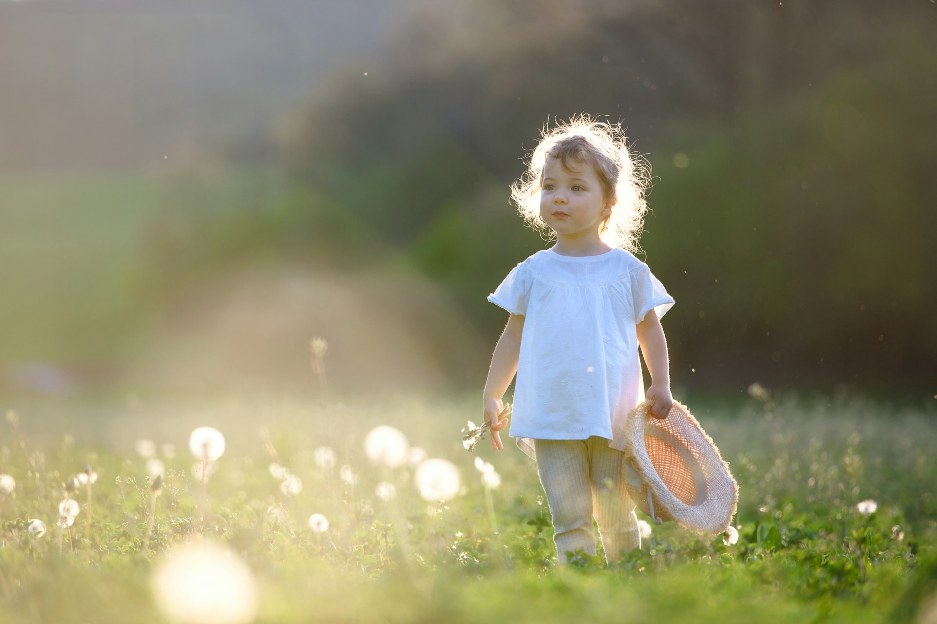 child walking along field of dandelions, Seasonal Allergies
