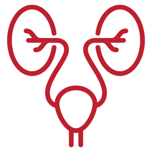 urologia