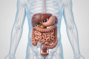 Gastrointestinal Issues
